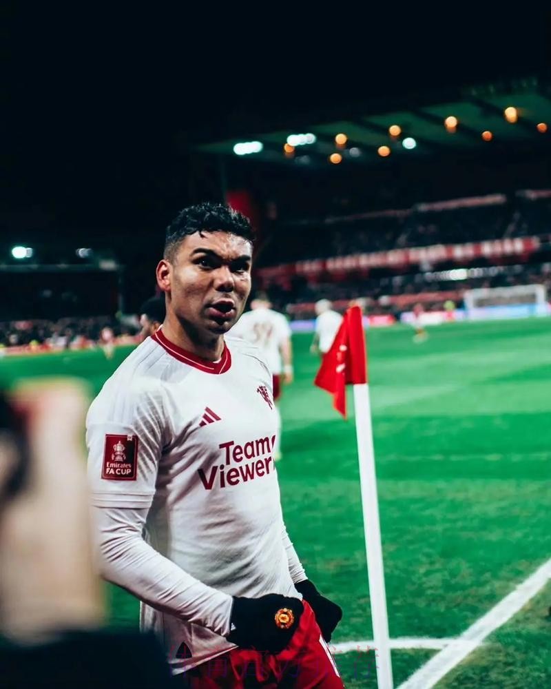 卡塞米罗:能适应任何类型比赛 很开心干“脏活” 卡塞米罗:能适应任何类型比赛 很开心干“脏活”